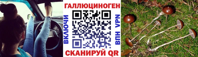 Галлюциногенные грибы MAGIC MUSHROOMS Ирбит